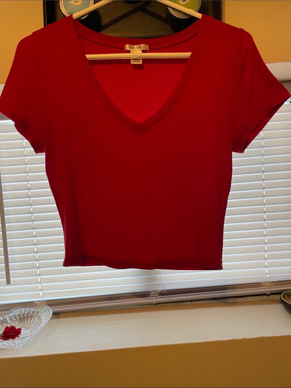 Red V-Neck Short Sleeve Crop Top (L)